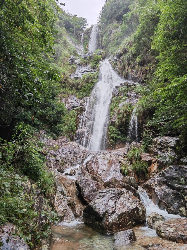 箬寮原始森林旅行图片 6