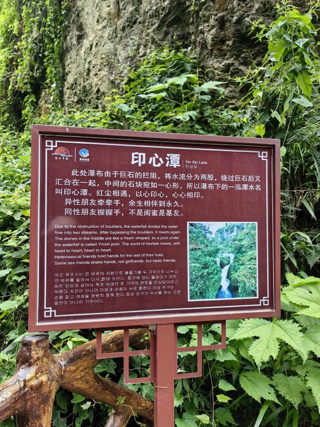 洒金公园旅行图片 4