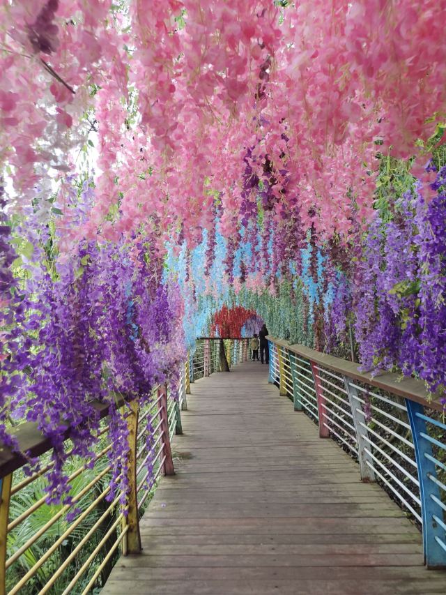 杉木湖景区旅行图片 3