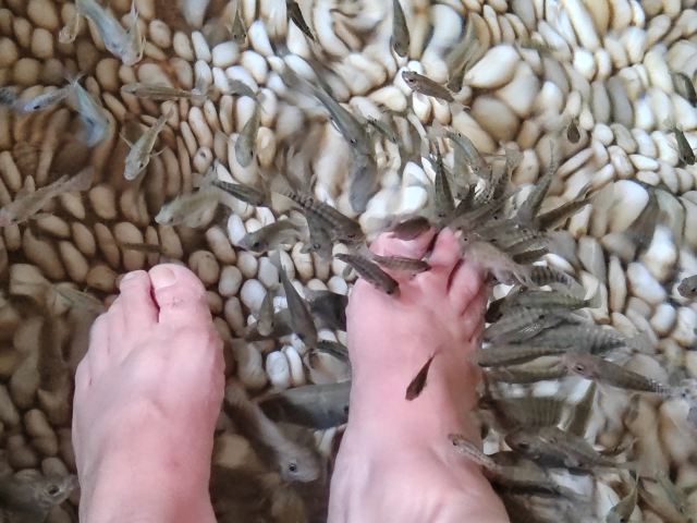 温泉公园旅行图片 4