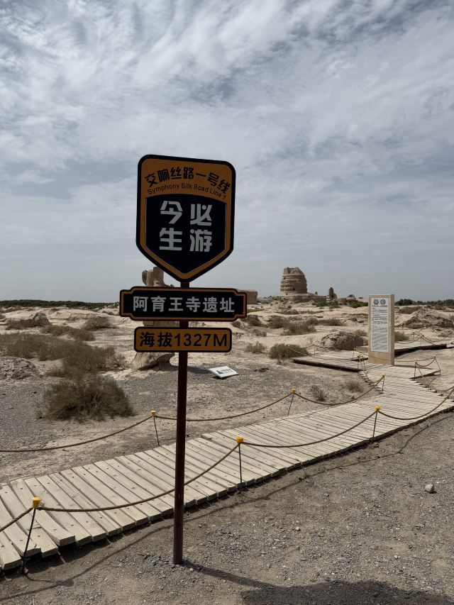 锁阳城遗址旅行图片 3