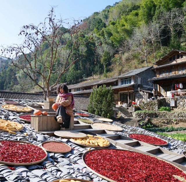 林坑古村落旅行图片 7