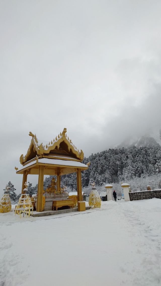 成都植物园旅行图片 4