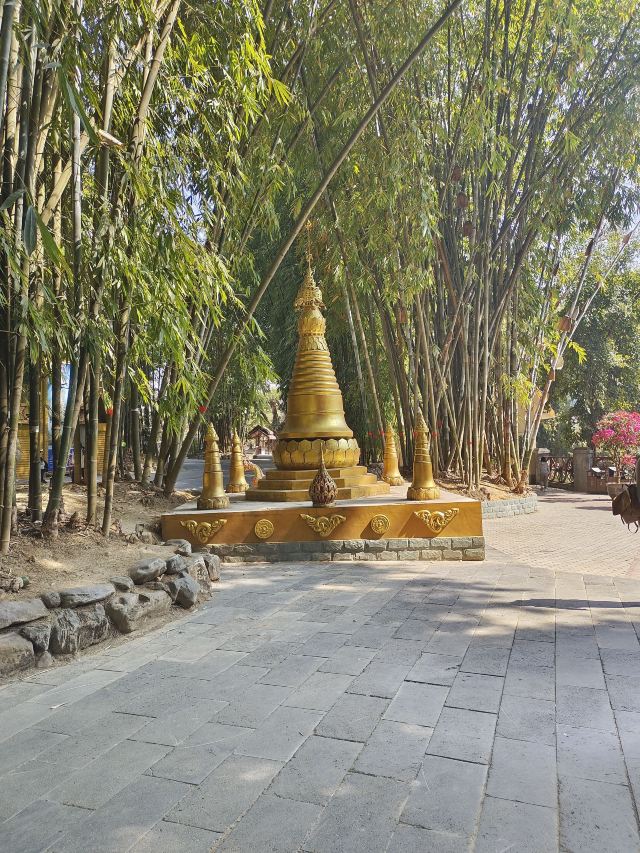 勐巴娜西珍奇园旅行图片 8