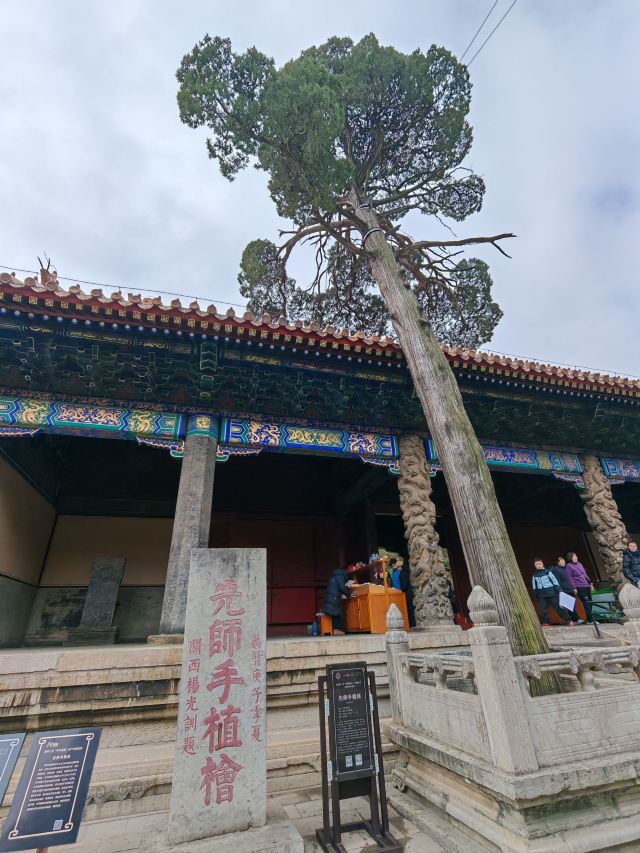 孔庙旅行图片 6