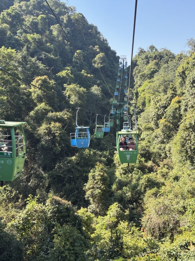 野象谷景区旅行图片 1