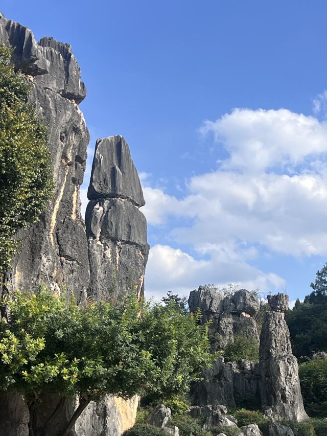石林风景区旅行图片 8