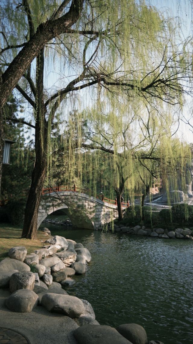 大唐芙蓉园旅行图片 2