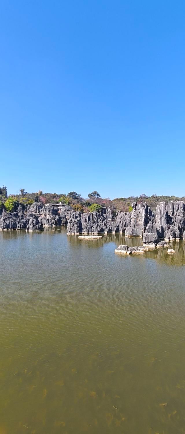 石林风景区旅行图片 4