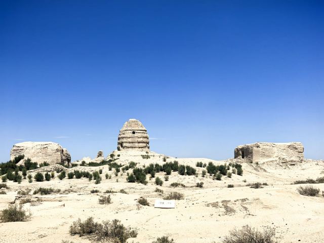 锁阳城遗址旅行图片 1