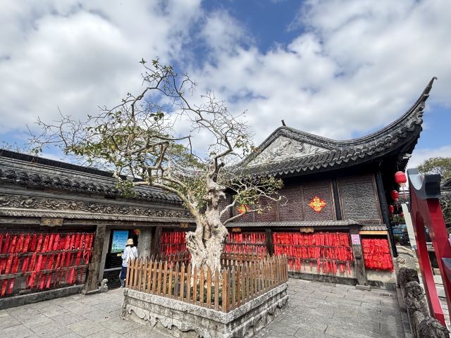 中山詹园旅行图片 4