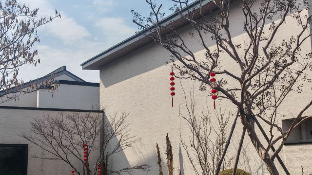 舜山小镇旅行图片 6