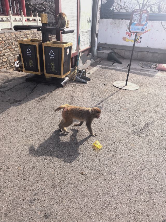 花果山风景区旅行图片 2