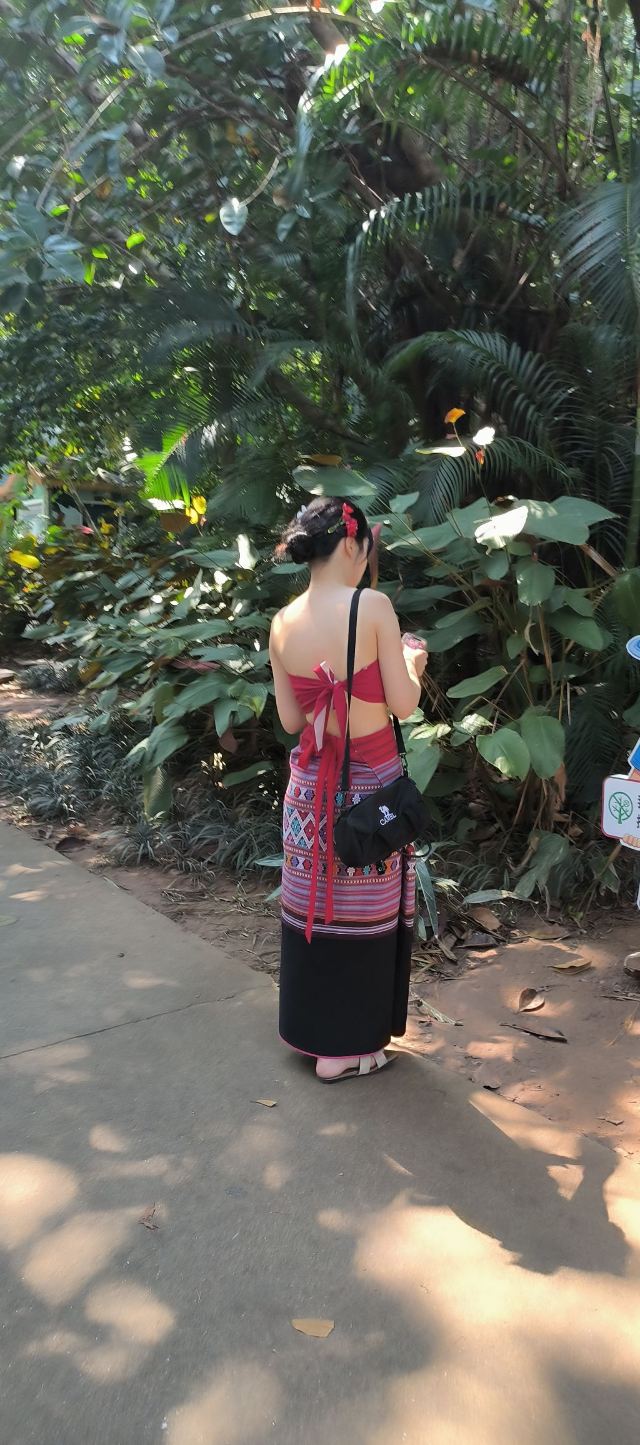 曼听御花园景区旅行图片 2