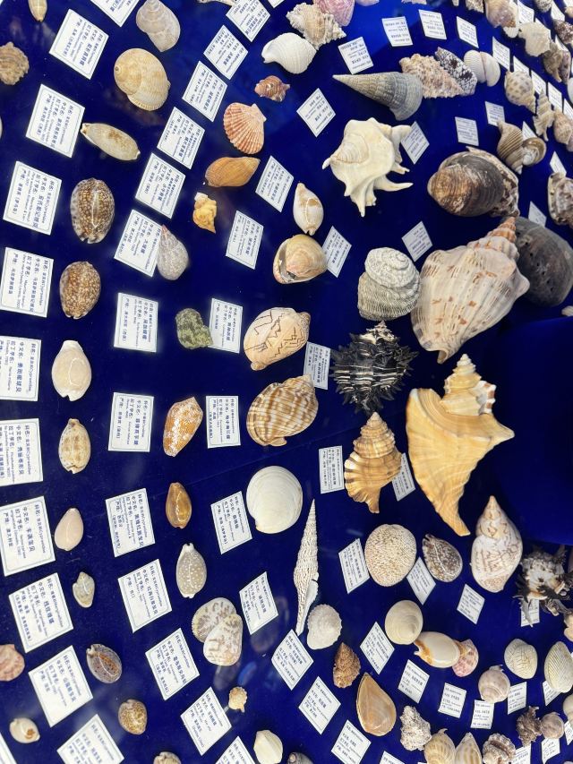 上海海昌海洋公园旅行图片 2