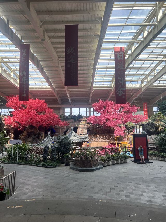 琵岩山温泉古村落旅行图片 2