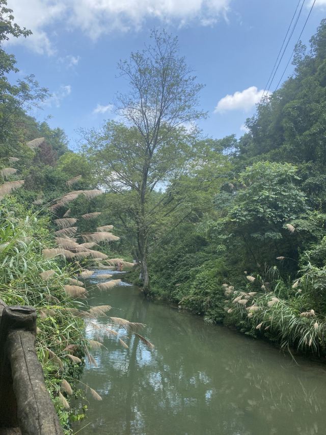皇龙大峡谷旅行图片 3
