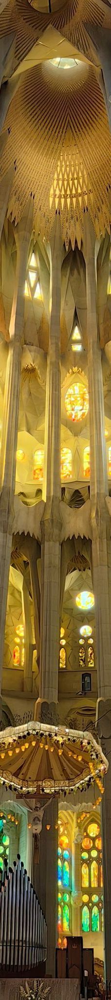 圣家族大教堂-巴塞罗那-杨秉君