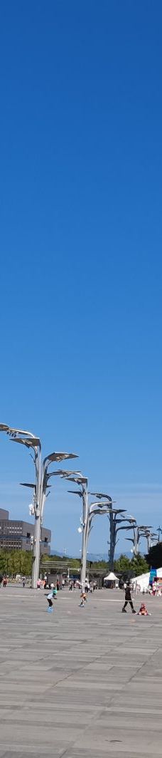 北京-YoYo_4Z1V7W3I