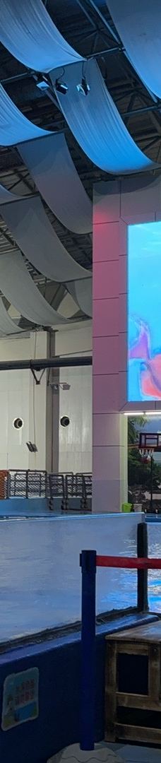 合肥海洋世界-合肥-YoYo_2A8O7P2V