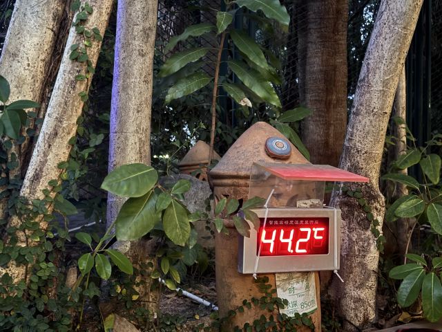 源脉温泉旅行图片 2