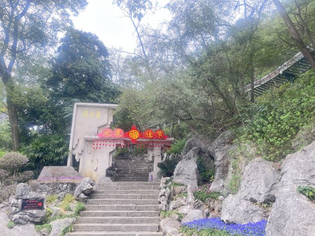 芦笛景区旅行图片 1