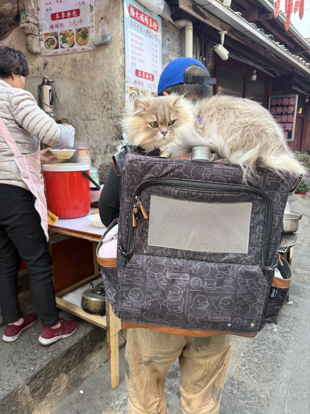 和顺古镇景区旅行图片 2