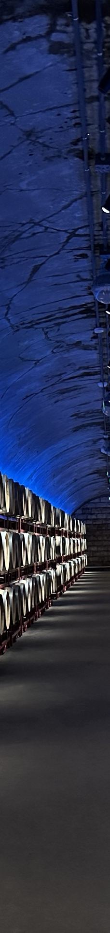 张裕酒文化博物馆-烟台-YoYo_6U6E4X7O