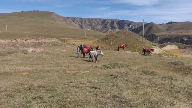 山丹皇家马场景区(暂停开放)旅行图片 1