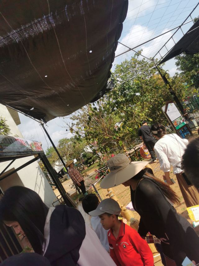世界热带水果之窗(海南盛大共享农庄)旅行图片 1
