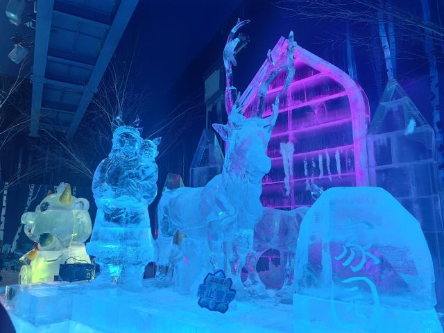 哈尔滨冰雪大世界文创旗舰店旅行图片 3