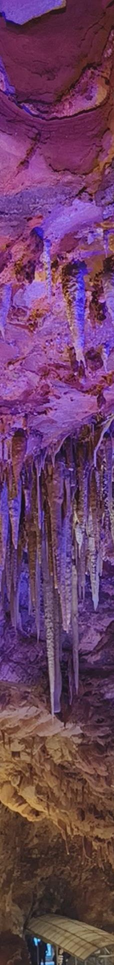 古猿人洞-南京-元气软欧