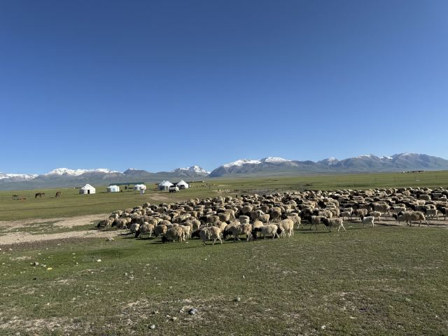 恩施巴人河生态旅游区旅行图片 6