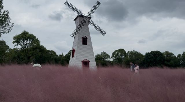 上海顾村公园旅行图片 8