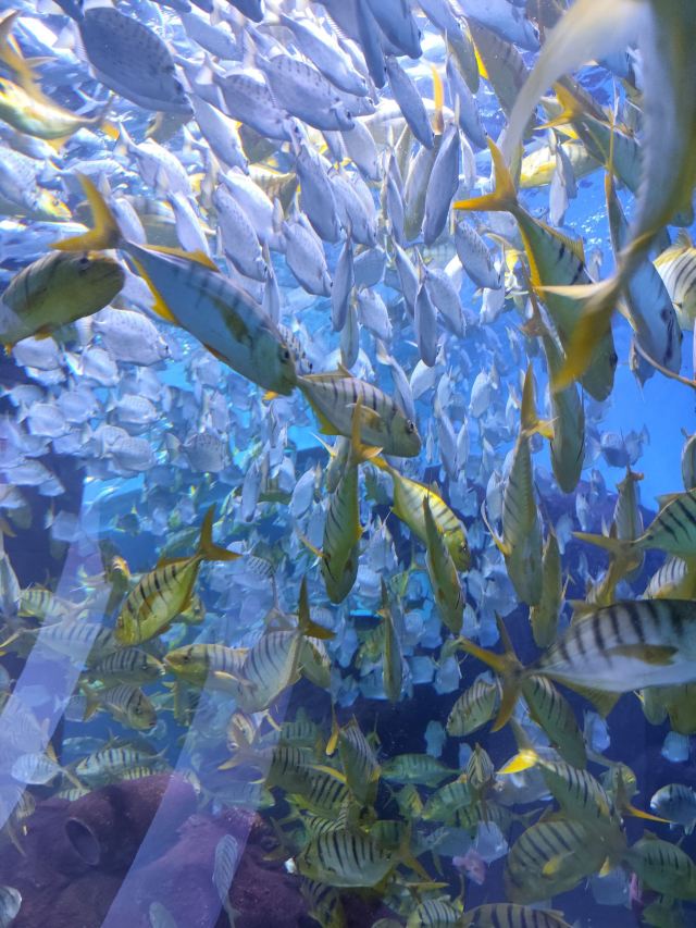 海蓝星梦幻城旅行图片 3