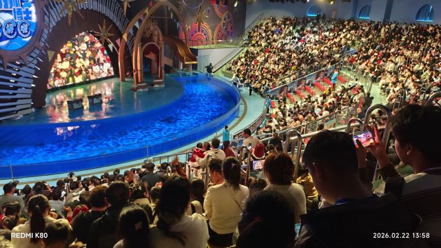 郑州海昌海洋公园旅行图片 4