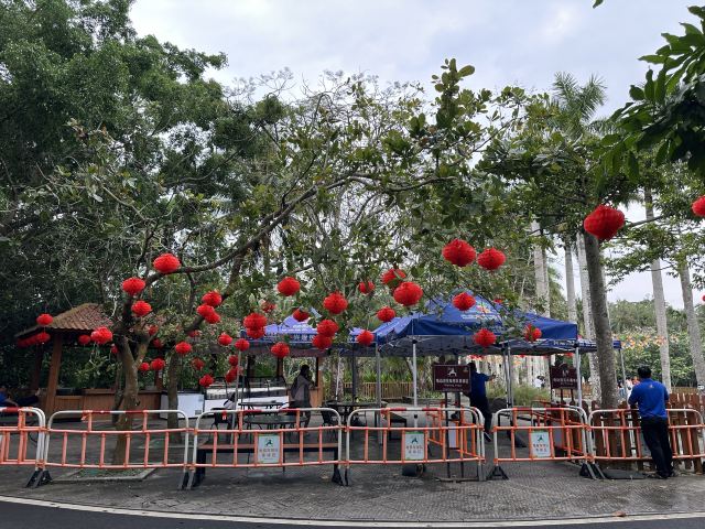 兴隆热带植物园旅行图片 2