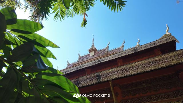 曼听御花园景区旅行图片 3