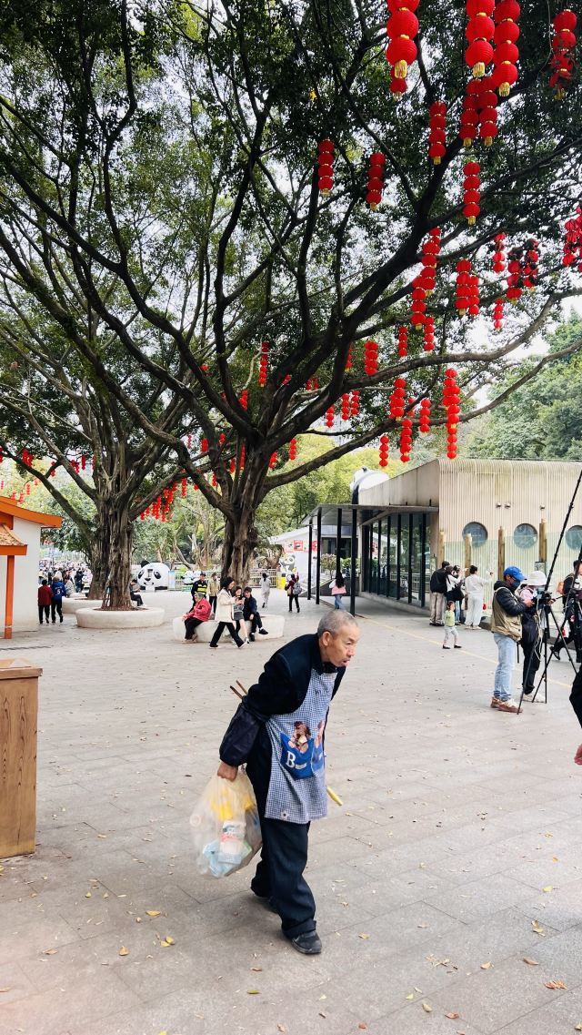 重庆动物园旅行图片 2