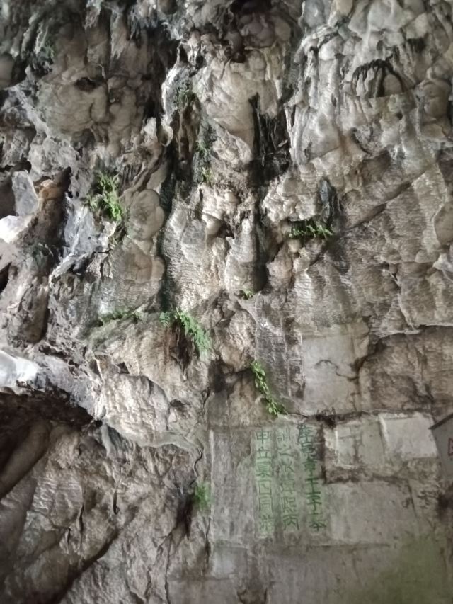 南溪山公园旅行图片 7