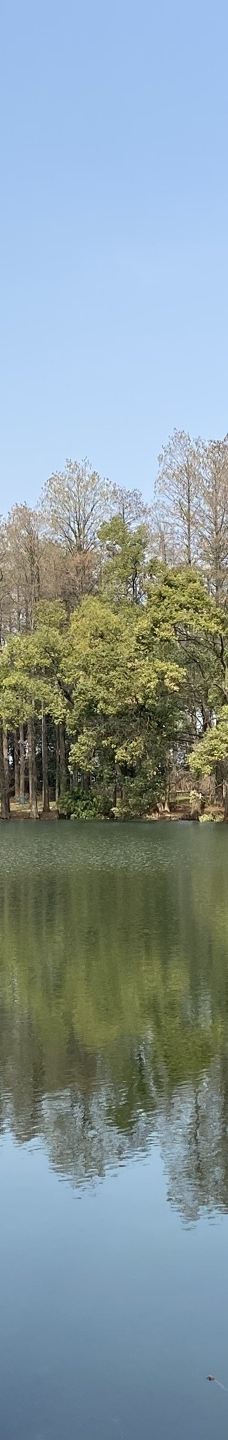 东湖梅园-武汉-YoYo_1G0D7A0G