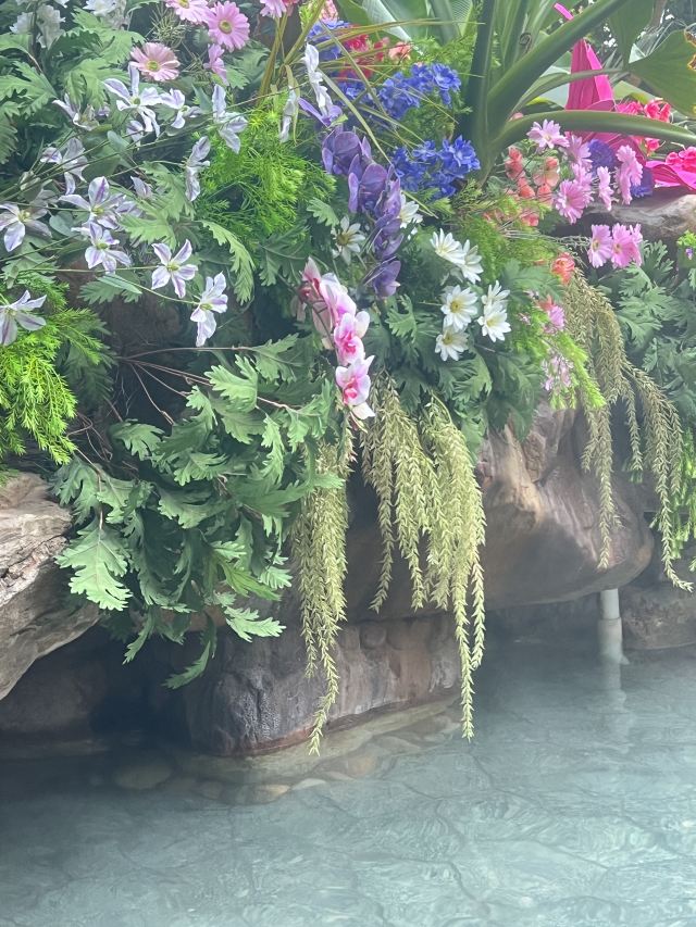 奥华温泉景区旅行图片 2