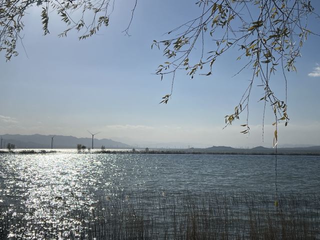 野鸭湖国家湿地公园旅行图片 2