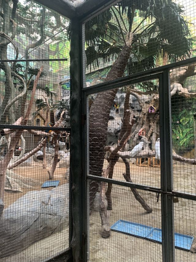 福州欧乐堡海洋世界旅行图片 1