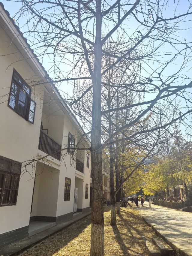 南雄帽子峰旅游景区旅行图片 1