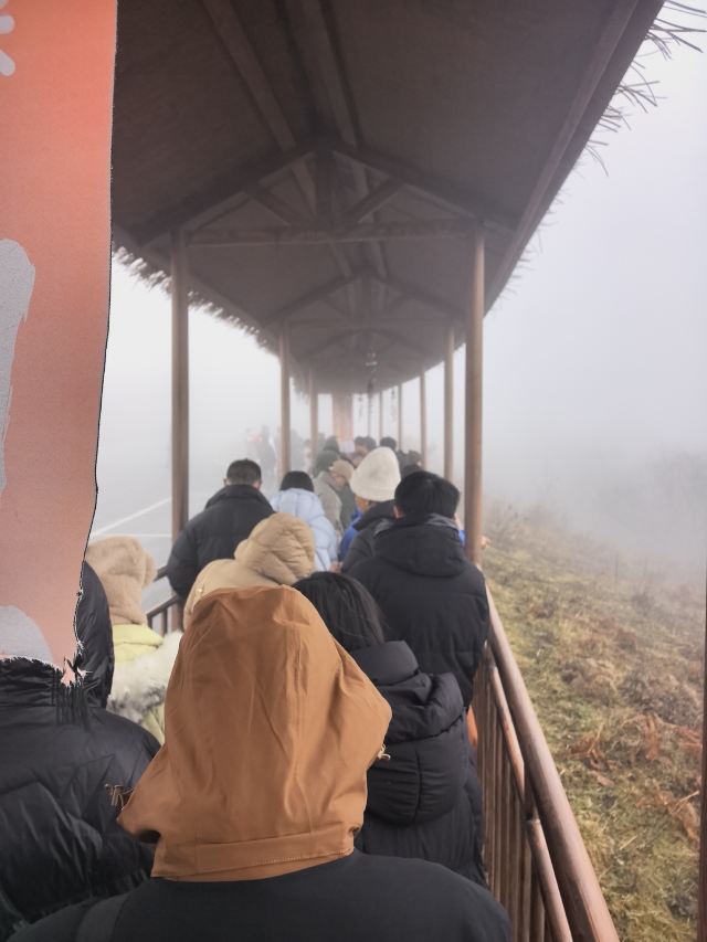 王岗坪旅游景区-露营区旅行图片 1
