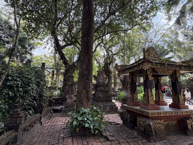 巴厘村旅行图片 3