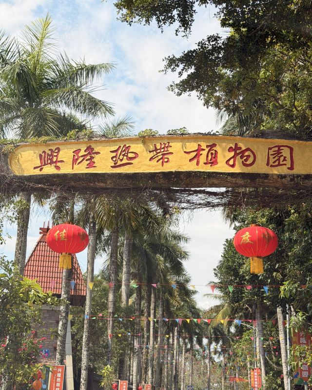 兴隆热带植物园旅行图片 4