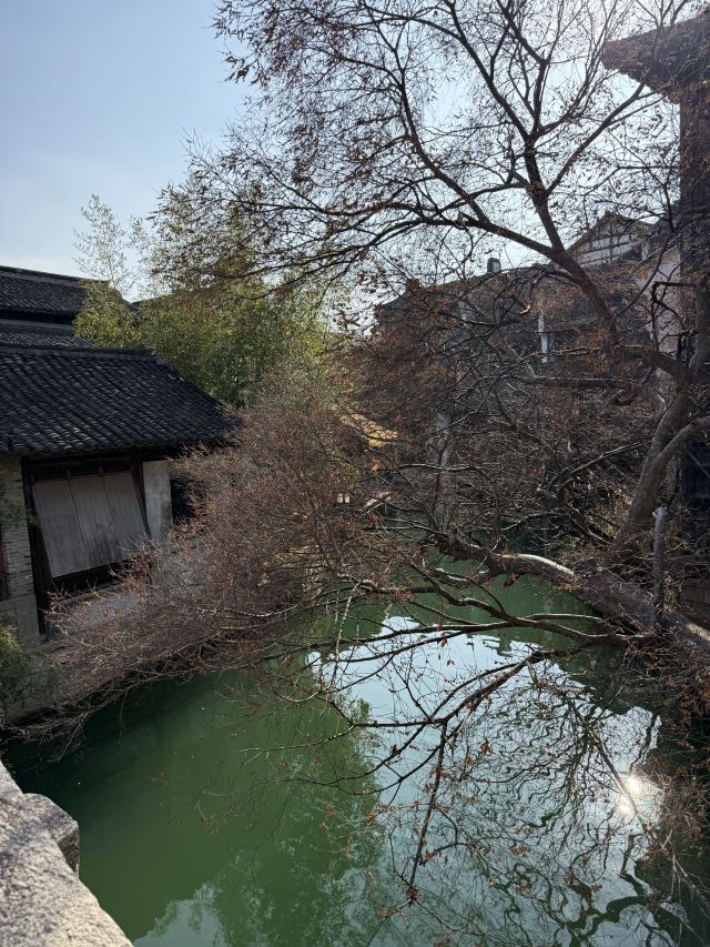 濮院时尚古镇旅行图片 3