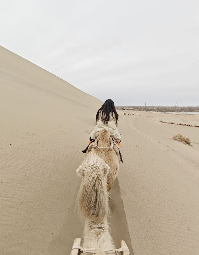 鸣沙山月牙泉旅行图片 1